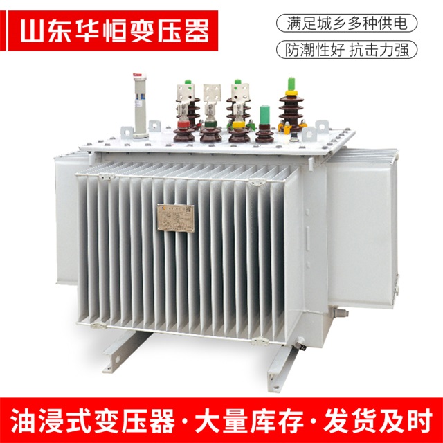 S13-10000/35眉县眉县眉县电力变压器